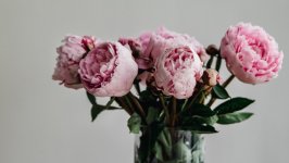 Desktop wallpaper. Flowers. ID:116021