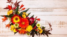 Desktop wallpaper. Flowers. ID:116137