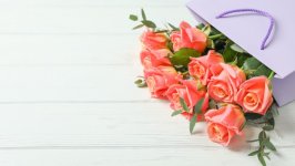 Desktop wallpaper. Flowers. ID:132203
