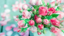 Desktop wallpaper. Flowers. ID:117527