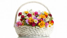 Desktop wallpaper. Flowers. ID:118161