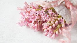 Desktop wallpaper. Flowers. ID:118418