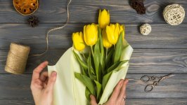 Desktop wallpaper. Flowers. ID:118595