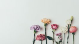 Desktop wallpaper. Flowers. ID:118722
