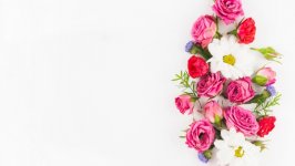 Desktop wallpaper. Flowers. ID:119239