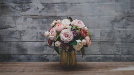 Desktop wallpaper. Flowers. ID:119778