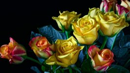 Desktop wallpaper. Flowers. ID:121497