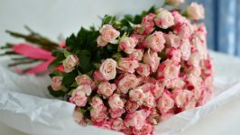 Desktop wallpaper. Flowers. ID:122478