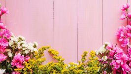 Desktop wallpaper. Flowers. ID:123112