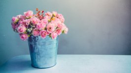 Desktop wallpaper. Flowers. ID:123540