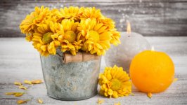 Desktop wallpaper. Flowers. ID:123583