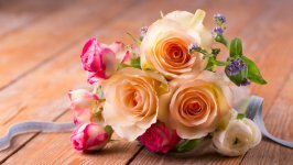 Desktop wallpaper. Flowers. ID:123645