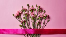 Desktop wallpaper. Flowers. ID:145873