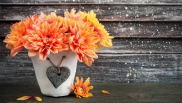 Desktop wallpaper. Flowers. ID:125643