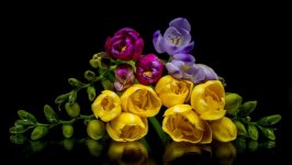 Desktop wallpaper. Flowers. ID:126767