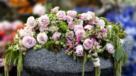 Desktop wallpaper. Flowers. ID:126800