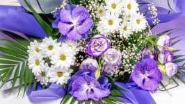 Desktop image. Flowers. ID:128532