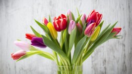Desktop wallpaper. Flowers. ID:128625