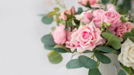 Desktop wallpaper. Flowers. ID:128871