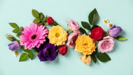 Desktop wallpaper. Flowers. ID:129195
