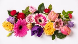 Desktop wallpaper. Flowers. ID:129197