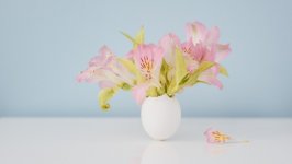 Desktop wallpaper. Flowers. ID:129199