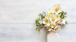 Desktop image. Flowers. ID:129688