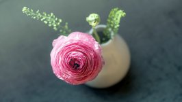 Desktop image. Flowers. ID:130027