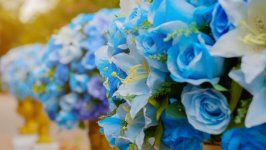 Desktop wallpaper. Flowers. ID:130307