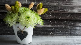 Desktop wallpaper. Flowers. ID:130341