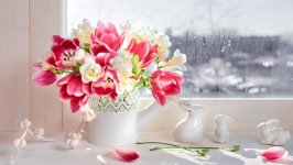 Desktop wallpaper. Flowers. ID:130371