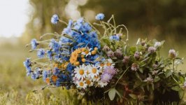 Desktop wallpaper. Flowers. ID:130690
