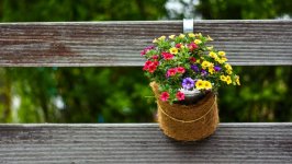 Desktop wallpaper. Flowers. ID:130918