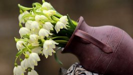Desktop wallpaper. Flowers. ID:130945
