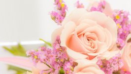 Desktop wallpaper. Flowers. ID:130959