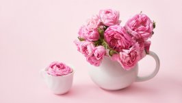 Desktop wallpaper. Flowers. ID:131043