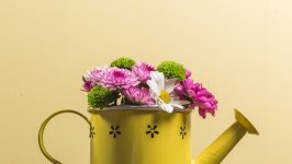 Desktop wallpaper. Flowers. ID:133663