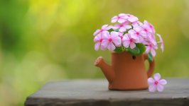 Desktop wallpaper. Flowers. ID:131712