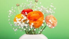 Desktop wallpaper. Flowers. ID:131903
