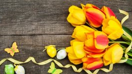 Desktop wallpaper. Flowers. ID:134072