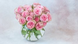 Desktop wallpaper. Flowers. ID:135245