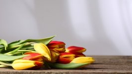 Desktop wallpaper. Flowers. ID:135597