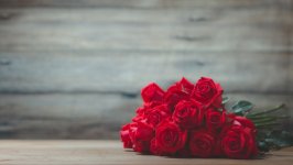 Desktop wallpaper. Flowers. ID:135836