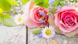 Desktop wallpaper. Flowers. ID:137484