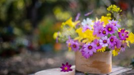 Desktop wallpaper. Flowers. ID:138434