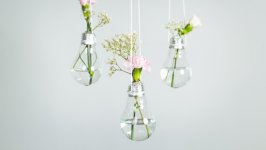 Desktop wallpaper. Flowers. ID:139238
