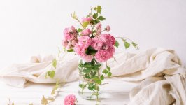 Desktop wallpaper. Flowers. ID:139239