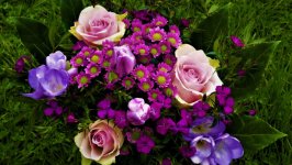 Desktop wallpaper. Flowers. ID:141065