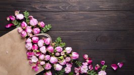 Desktop wallpaper. Flowers. ID:146010