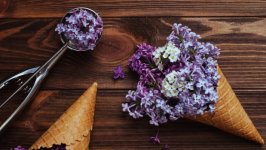 Desktop wallpaper. Flowers. ID:147141